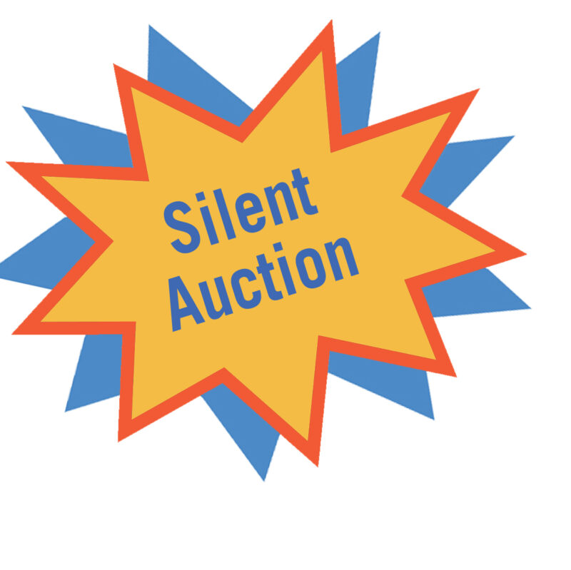 <p><strong><em>The auction is LIVE!  Start the bidding.  The auction closes at 5 PM EDT on November 1, 2025.</em></strong></p>
<p>Click <a href=